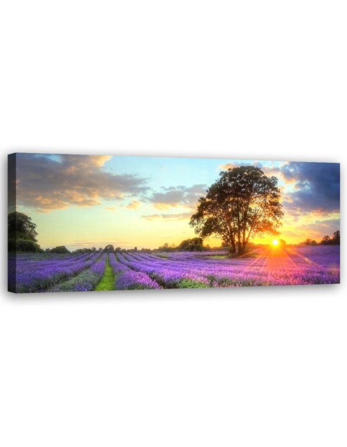 Tree in a field of lavender - Canvas print for the living room | FEEBY