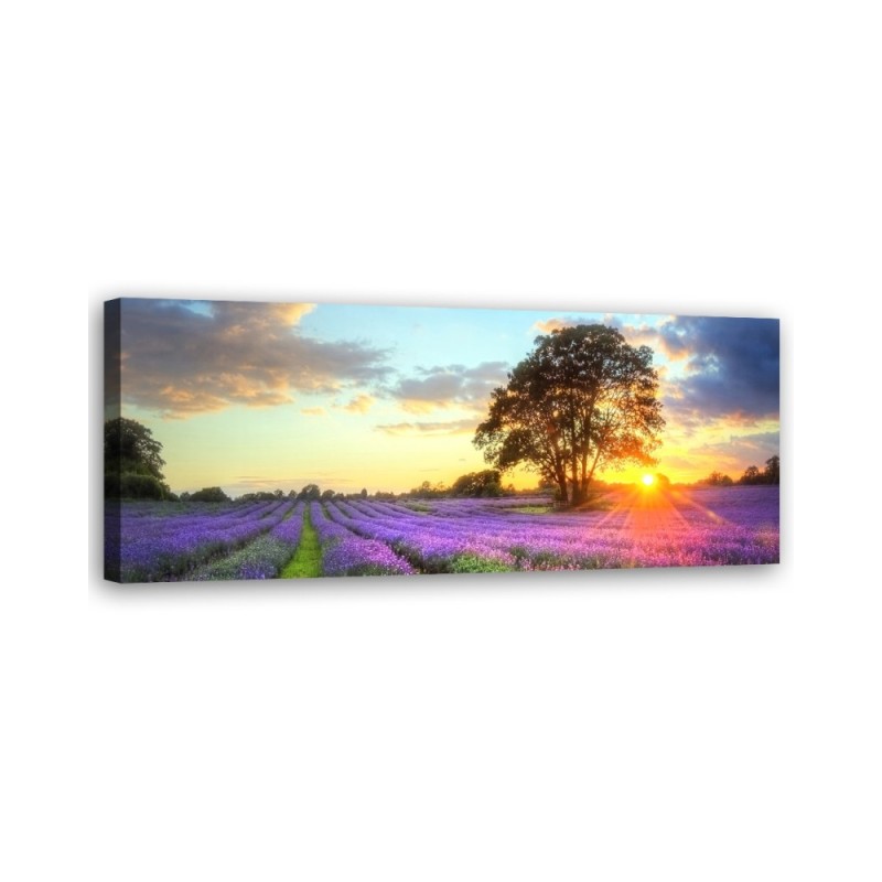 Tree in a field of lavender - Canvas print for the living room | FEEBY