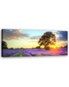 Tree in a field of lavender - Canvas print for the living room | FEEBY