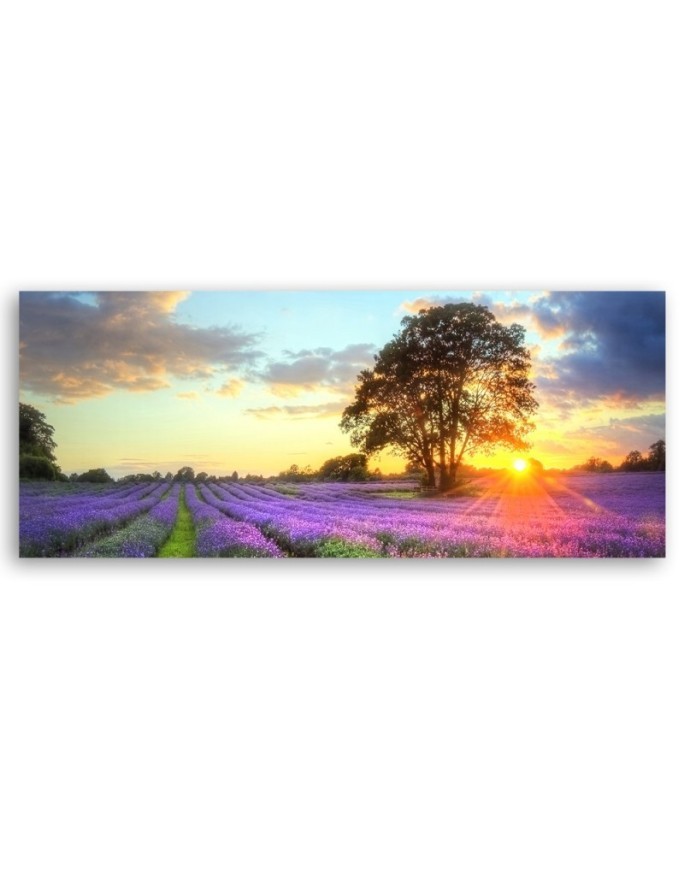 Tree in a field of lavender - Canvas print for the living room | FEEBY
