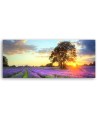 Tree in a field of lavender - Canvas print for the living room | FEEBY