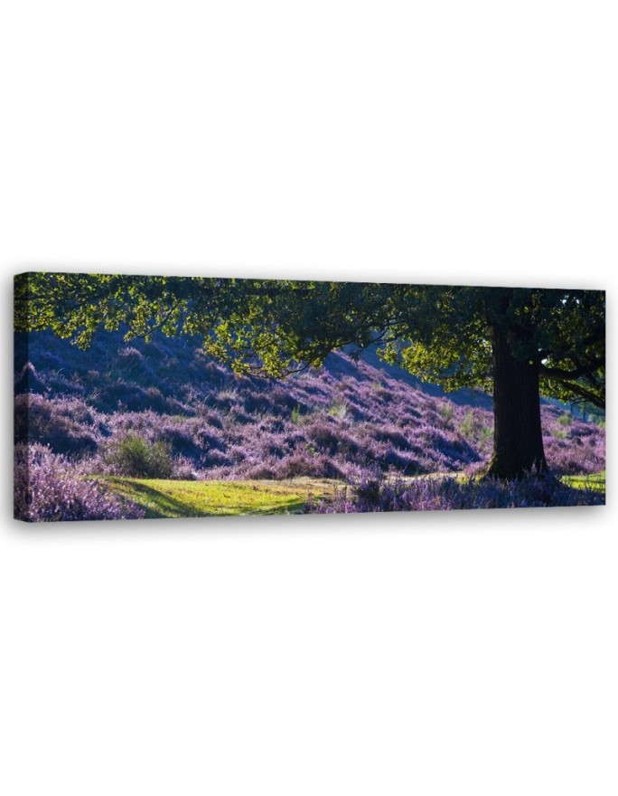 Canvas print Lavender in...