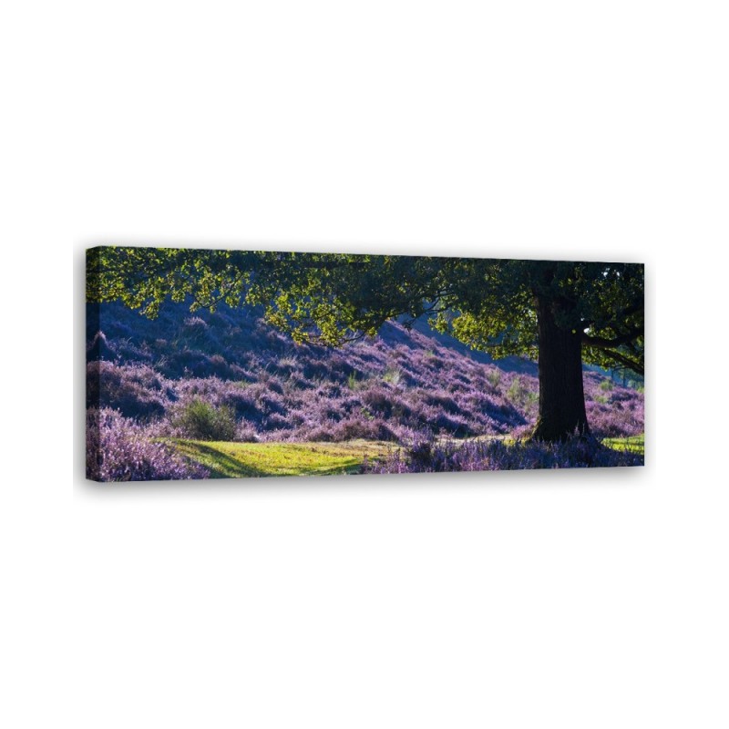 Lavender in provence - Image for bedroom | FEEBY