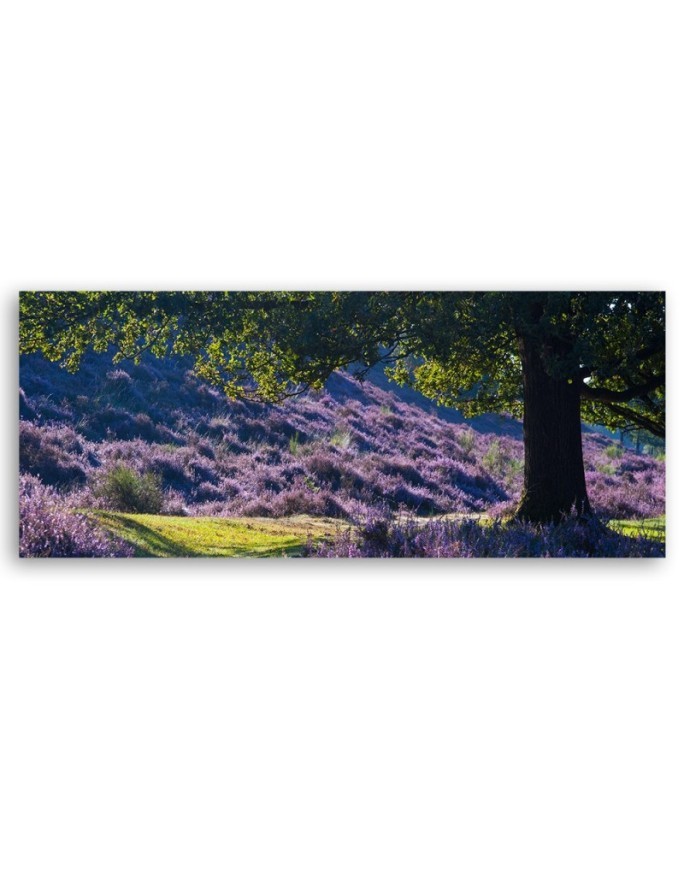 Lavender in provence - Image for bedroom | FEEBY