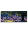 Lavender in provence - Image for bedroom | FEEBY