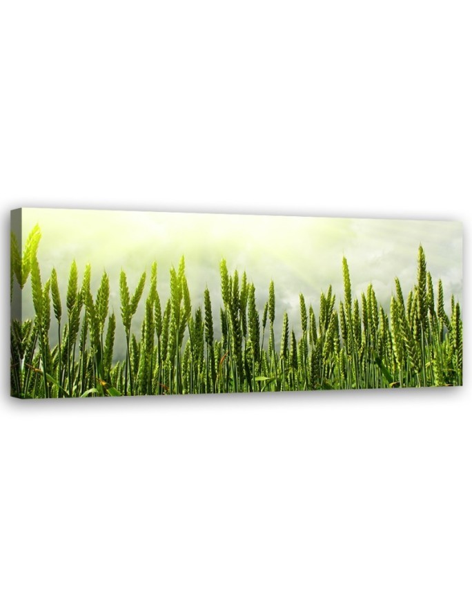 Wheat field - Wall painting | FEEBY