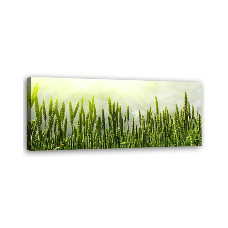 Wheat field - Wall painting | FEEBY