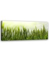 Wheat field - Wall painting | FEEBY
