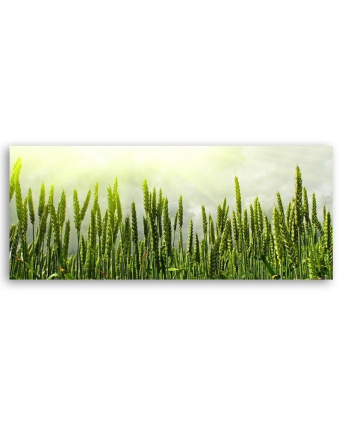 Wheat field - Wall painting | FEEBY