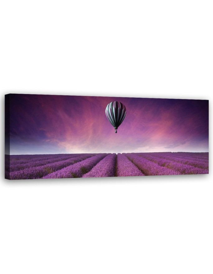 Balloon over a field of lavender - Wall Picture | FEEBY