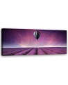 Balloon over a field of lavender - Wall Picture | FEEBY