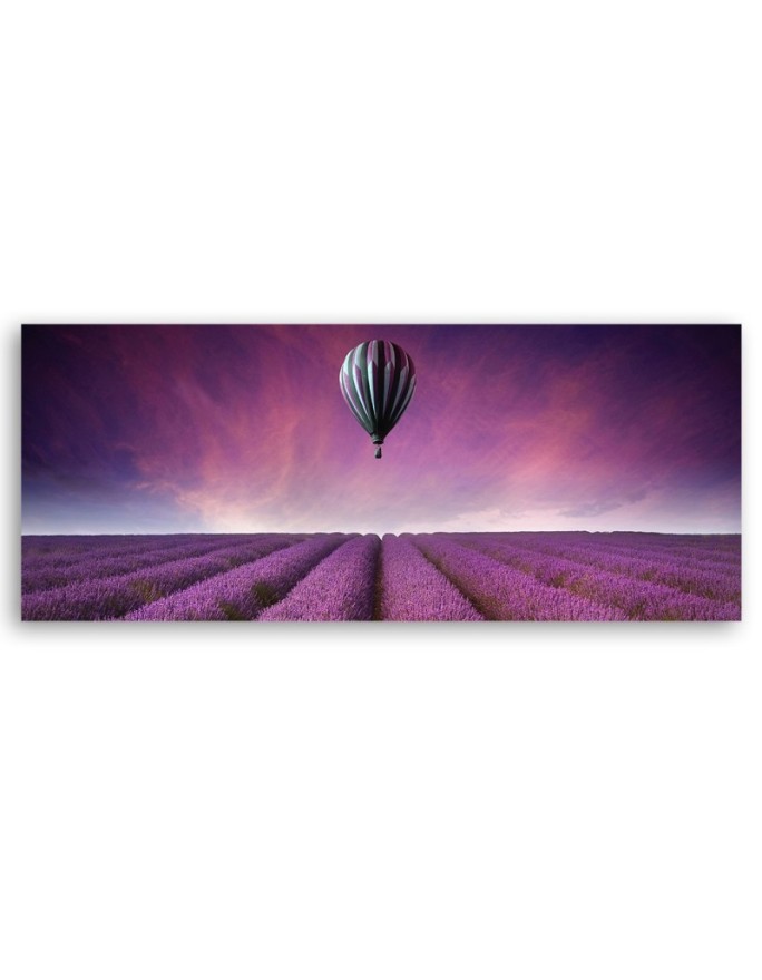 Balloon over a field of lavender - Wall Picture | FEEBY