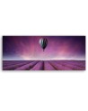 Balloon over a field of lavender - Wall Picture | FEEBY