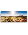 Desert vegetation - Modern painting for wall | FEEBY