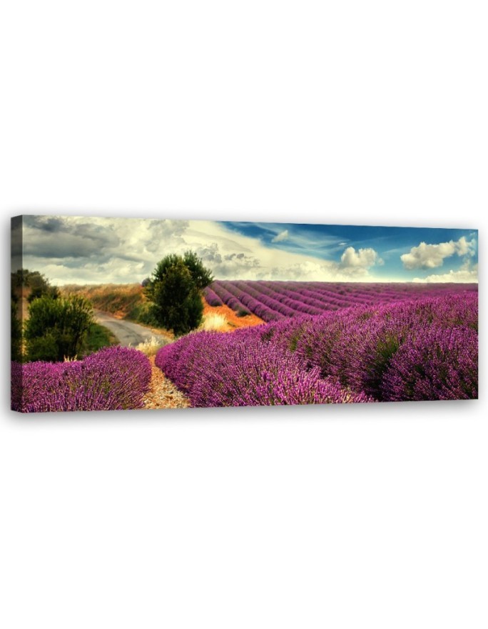 Lavender landscape - Picture for living room and bedroom | FEEBY