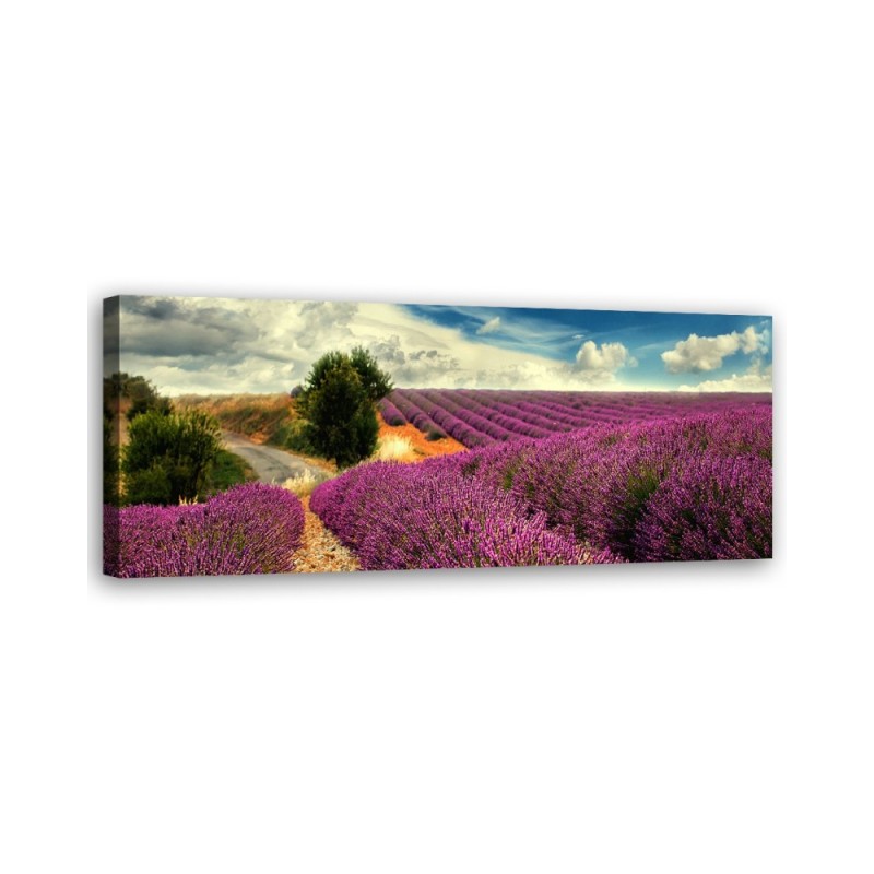 Lavender landscape - Picture for living room and bedroom | FEEBY