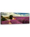 Lavender landscape - Picture for living room and bedroom | FEEBY