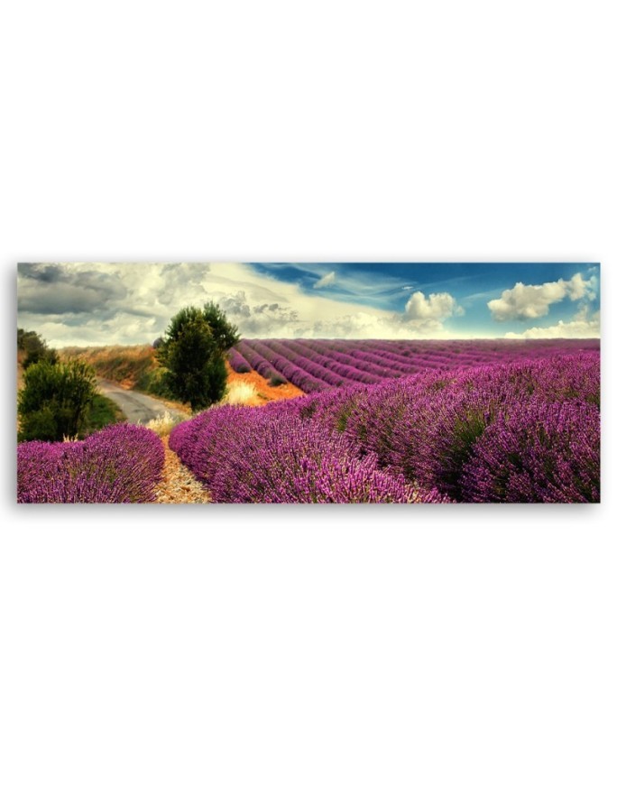 Lavender landscape - Picture for living room and bedroom | FEEBY