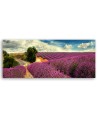 Lavender landscape - Picture for living room and bedroom | FEEBY