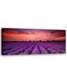 Field of purple flowers - Interior design picture | FEEBY