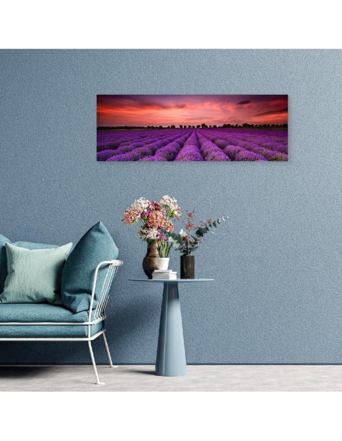 Field of purple flowers - Interior design picture | FEEBY