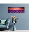 Field of purple flowers - Interior design picture | FEEBY