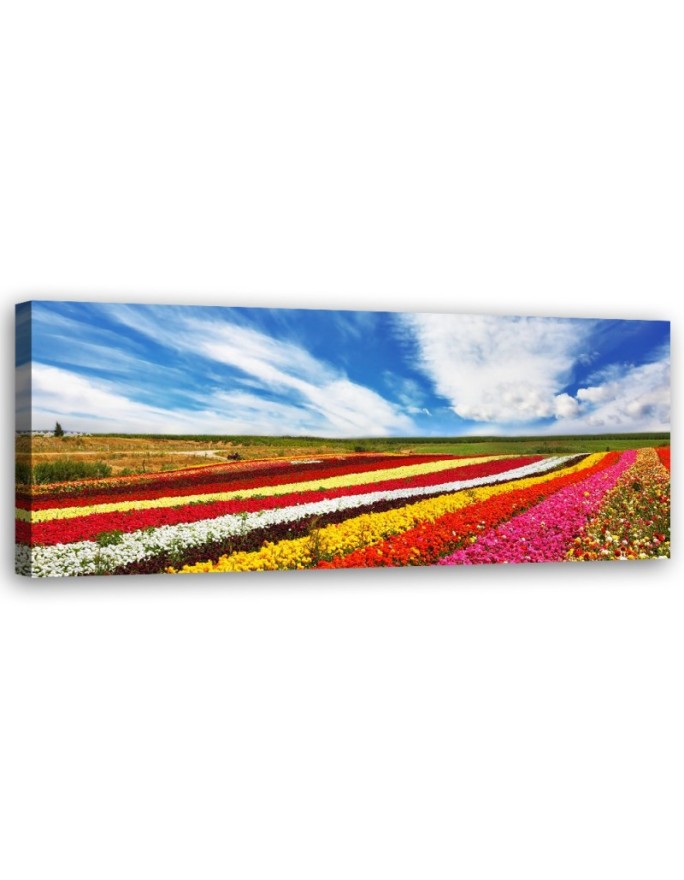Canvas print Field of...