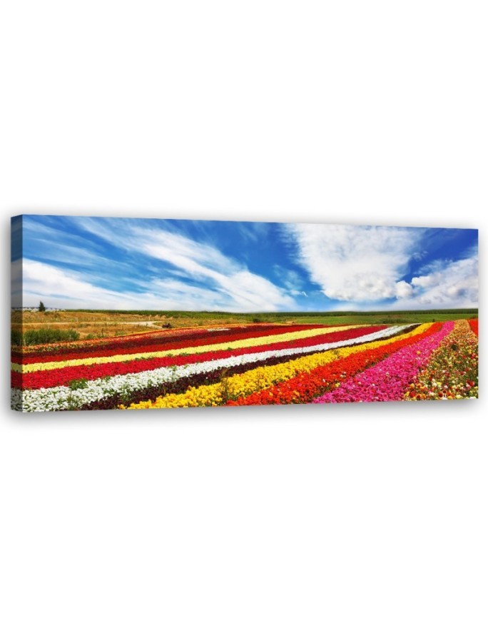 Field of colourful tulips - Wall painting for living room | FEEBY