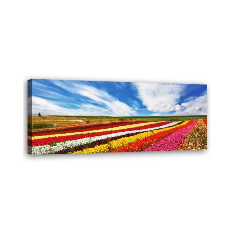 Field of colourful tulips - Wall painting for living room | FEEBY