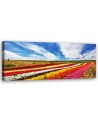 Field of colourful tulips - Wall painting for living room | FEEBY