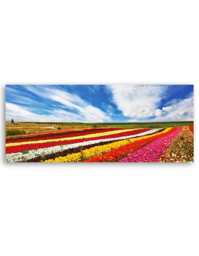 Field of colourful tulips - Wall painting for living room | FEEBY