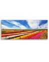 Field of colourful tulips - Wall painting for living room | FEEBY