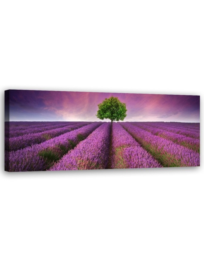 Canvas print Field of lavender