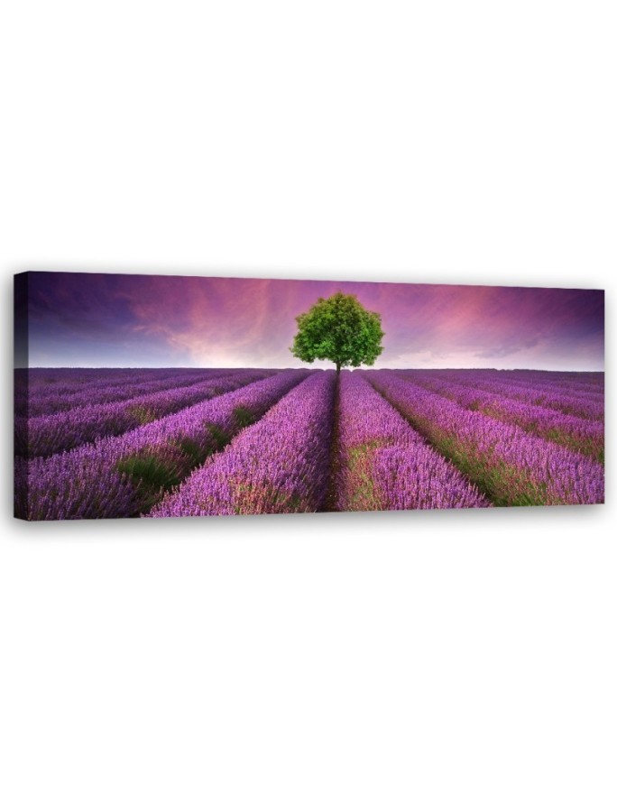 Field of lavender - Bedroom wall painting | FEEBY