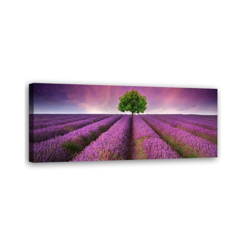 Field of lavender - Bedroom wall painting | FEEBY