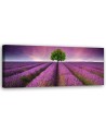 Field of lavender - Bedroom wall painting | FEEBY