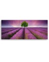 Field of lavender - Bedroom wall painting | FEEBY