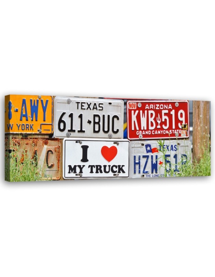 Canvas print US licence plates