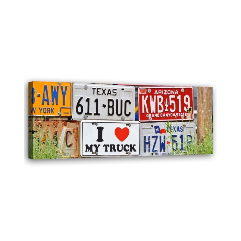 Us licence plate - Image printed on canvas | FEEBY