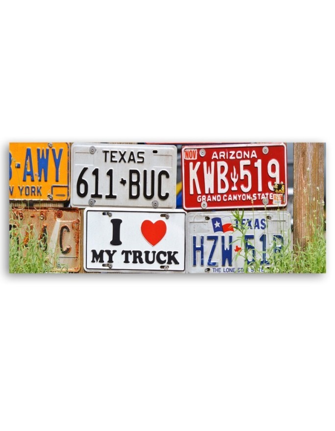 Us licence plate - Image printed on canvas | FEEBY