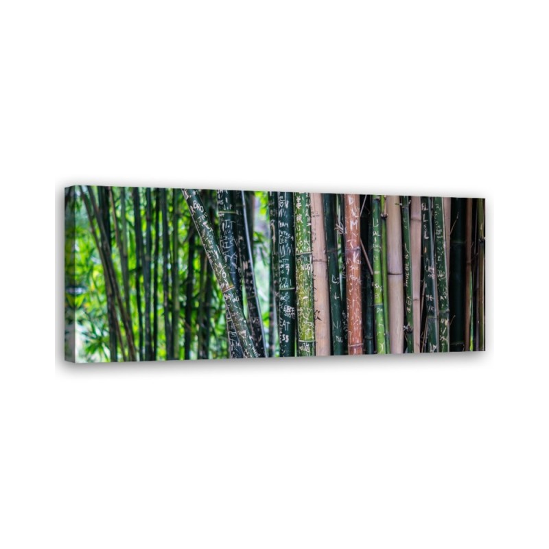 Bamboo stems - Modern painting | FEEBY