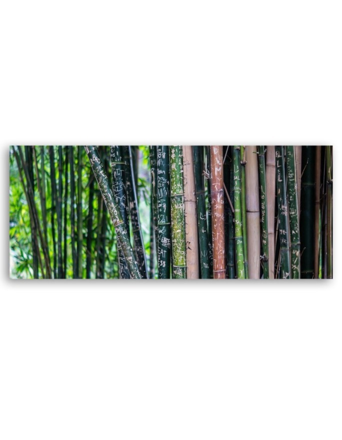 Bamboo stems - Modern painting | FEEBY