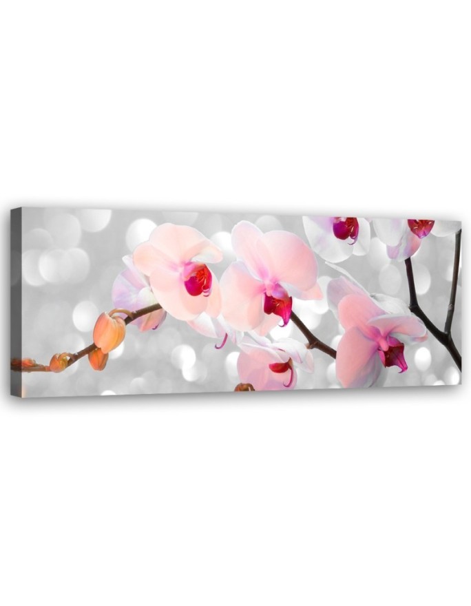 Orchid flowers nature - Canvas painting | FEEBY