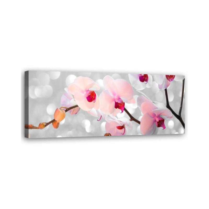 Orchid flowers nature - Canvas painting | FEEBY