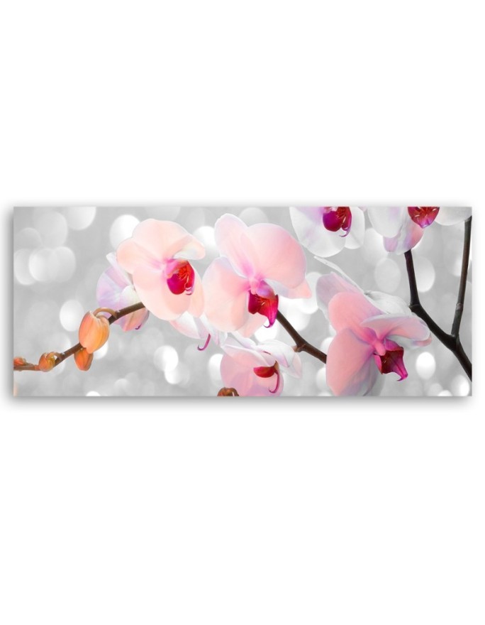 Orchid flowers nature - Canvas painting | FEEBY