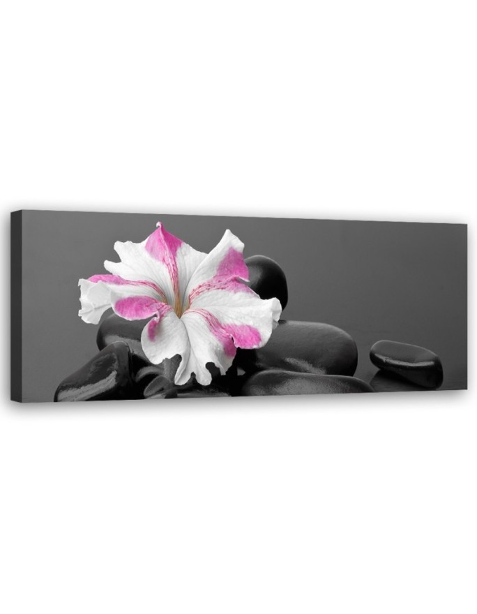 Stones pink flower zen - Decorative canvas picture | FEEBY