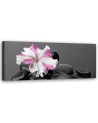 Stones pink flower zen - Decorative canvas picture | FEEBY