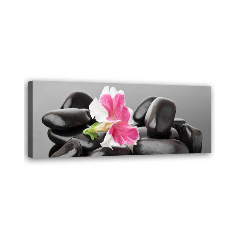 Flower and dark zen stones - Decorative painting for wall | FEEBY