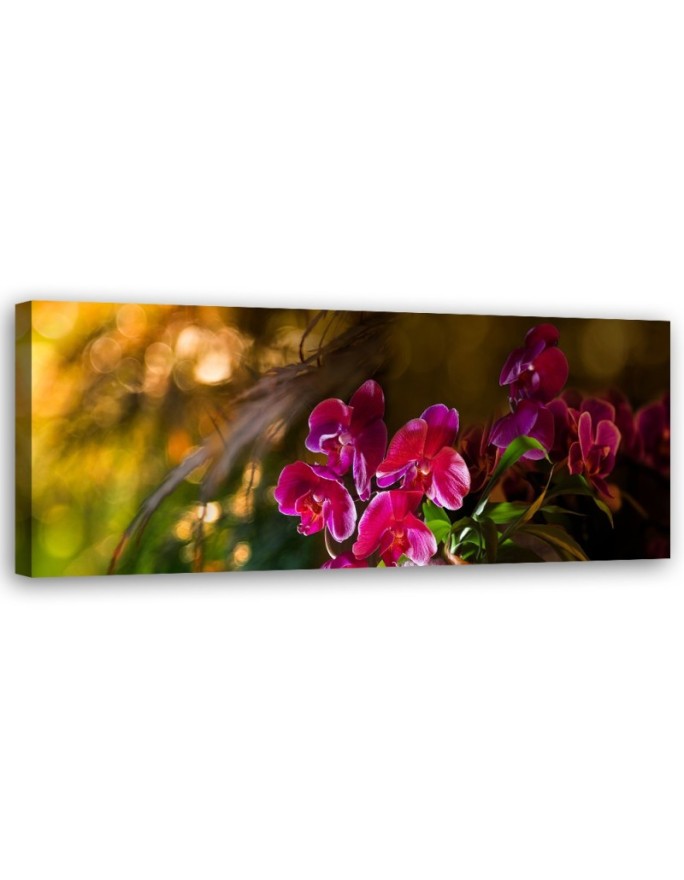 Canvas print Flowers Zen...