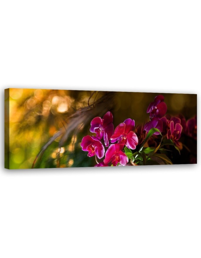 Zen orchid flowers - Image for living room | FEEBY